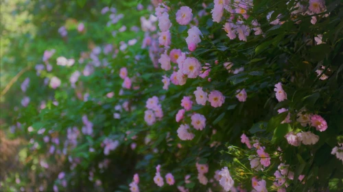 Photo by WPcoder