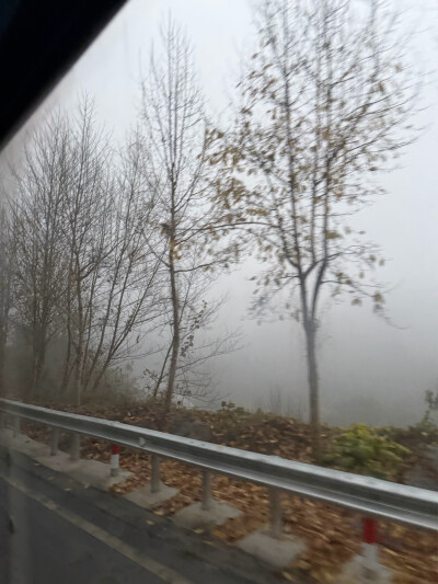 01:57
一整天都是灰蒙蒙的…
怎么从这个学期当班主任开始，开心的时光越来越多了呢？不顾学生的眼光，笑他们的可爱行为，笑同事间的嬉戏打闹，笑无厘头的话语…明显的明媚了许多。不知道是心态的转变，还是接触了一…