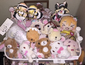 (•̀ω•́ )★⭑⭑