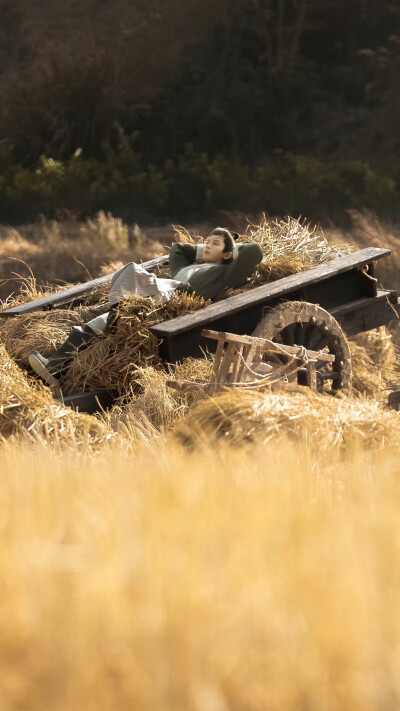长安二十四计 谢淮安 成毅