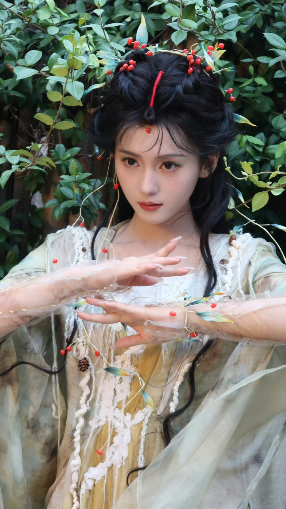 来战 洛柏 合诗雨