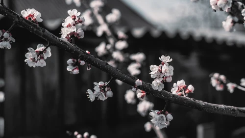 Photo by WPcoder