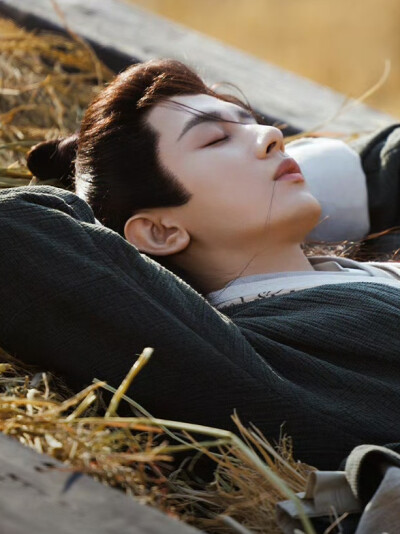 长安二十四计 谢淮安 成毅