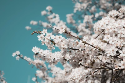 Photo by WPcoder