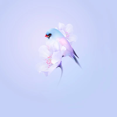 Photo by 壁纸迷