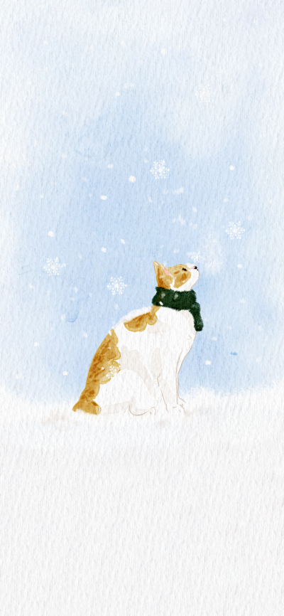 可爱的
图片来自网络，侵删