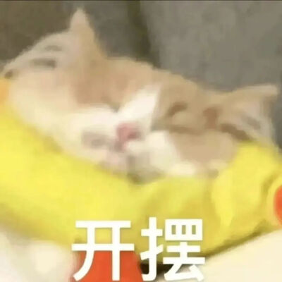 猫猫表情包