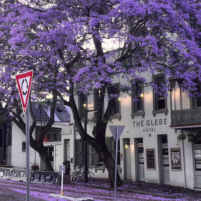 轨蜜该看双轨了！