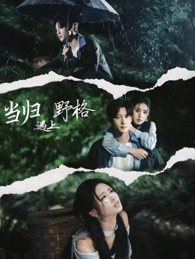 《当归遇上野格》