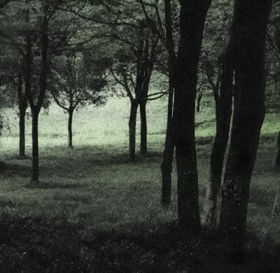 내일이 없다/没有明天.