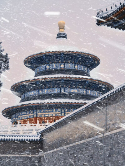 “天坛是中式美学的巅峰” ​​​