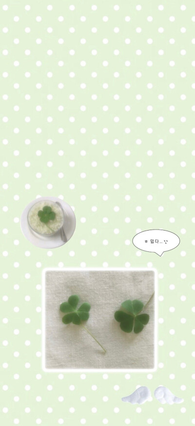 *･゜ﾟ･*:.｡..｡.:*･'(*ﾟ▽ﾟ*)'･*:.｡. .｡.:*･゜ﾟ･*