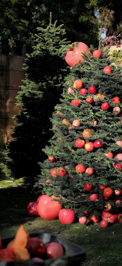 今日份壁纸分享