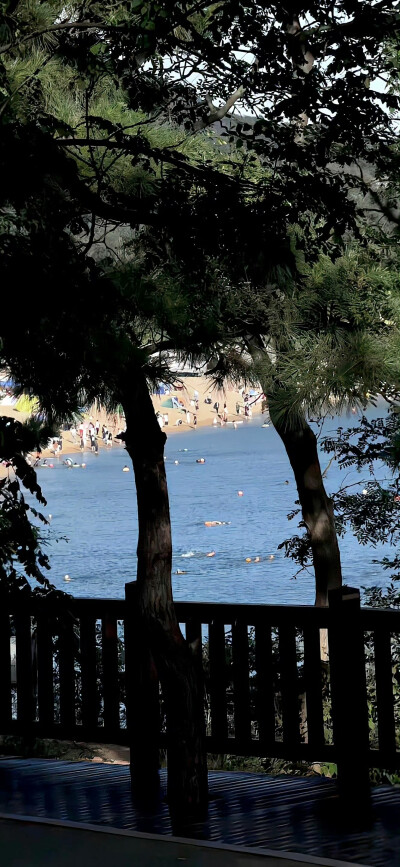 今日份壁纸分享