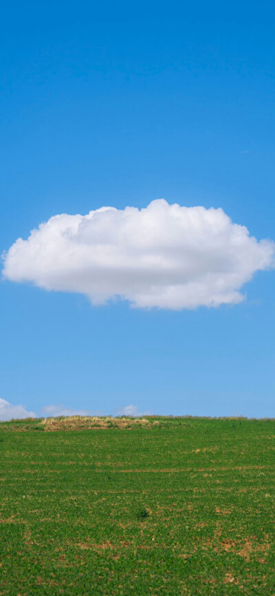 治愈系壁纸，今日份分享