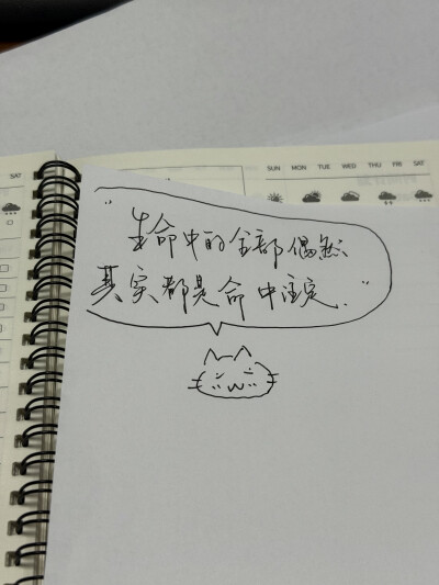 生命中的全部偶然其实都是命中注定