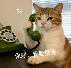 表情包·图源微博