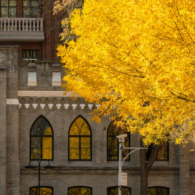 背景·图源微博