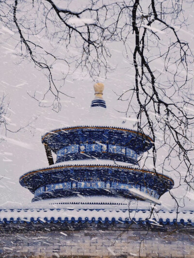 “天坛是中式美学的巅峰” ​​​