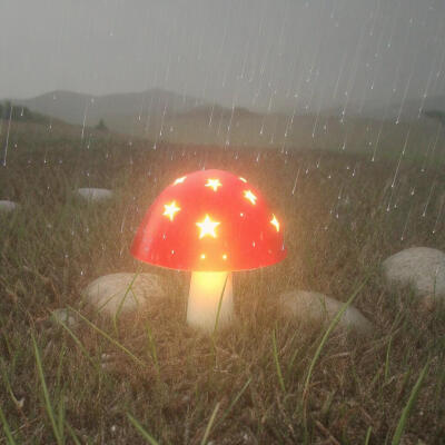 蘑菇
图源小红地瓜 persimmon.lion