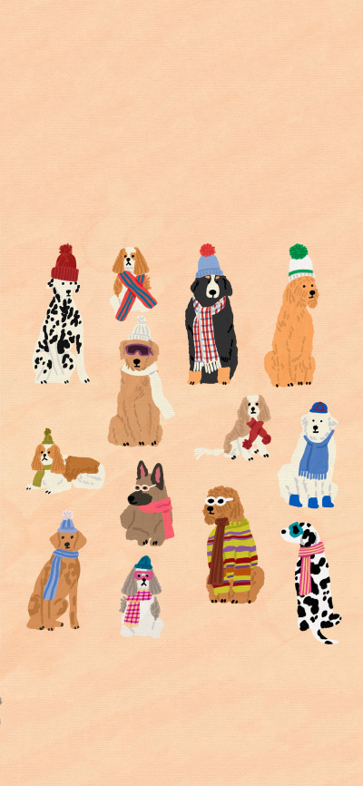 可爱的
图片来自网络，侵删