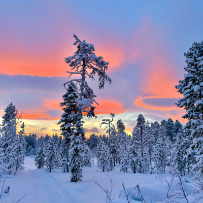 背景·图源微博