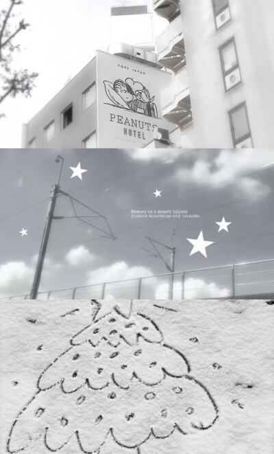 *･゜ﾟ･*:.｡..｡.:*･'(*ﾟ▽ﾟ*)'･*:.｡. .｡.:*･゜ﾟ･*