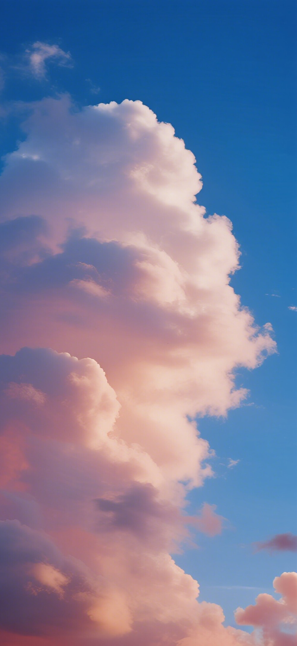 治愈系壁纸，今日份分享