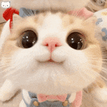 多喝热水少做梦