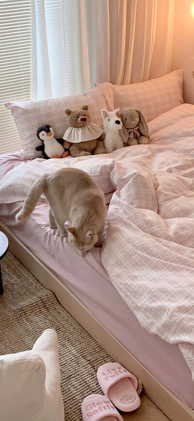 今日份壁纸分享