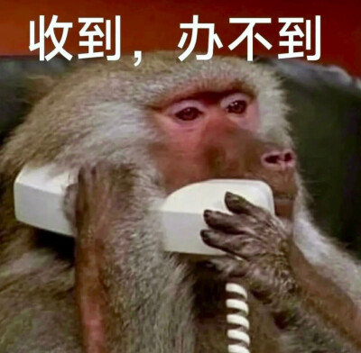 表情包·图源微博