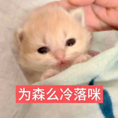 表情包·图源微博