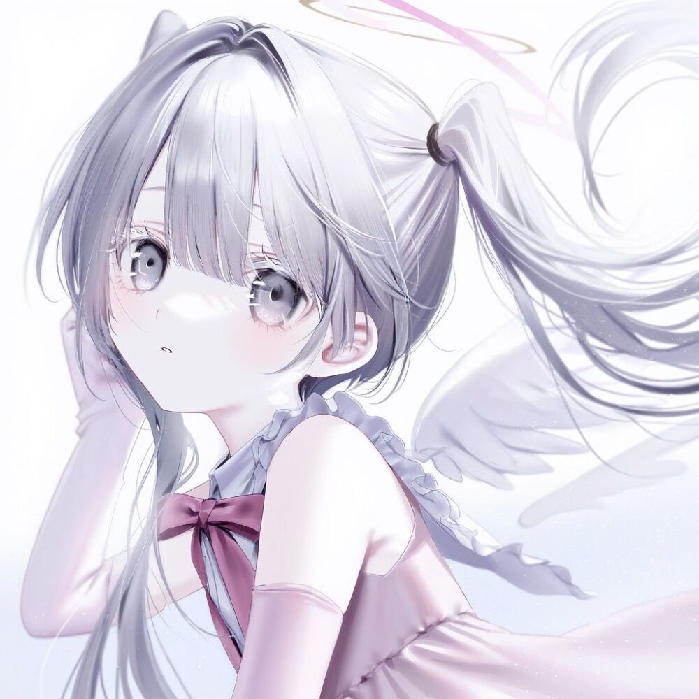 ynako公开分享