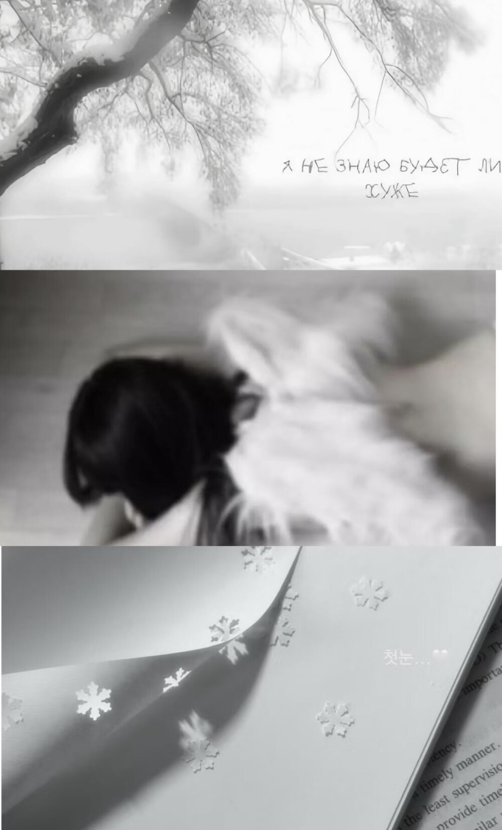 *･゜ﾟ･*:.｡..｡.:*･'(*ﾟ▽ﾟ*)'･*:.｡. .｡.:*･゜ﾟ･*