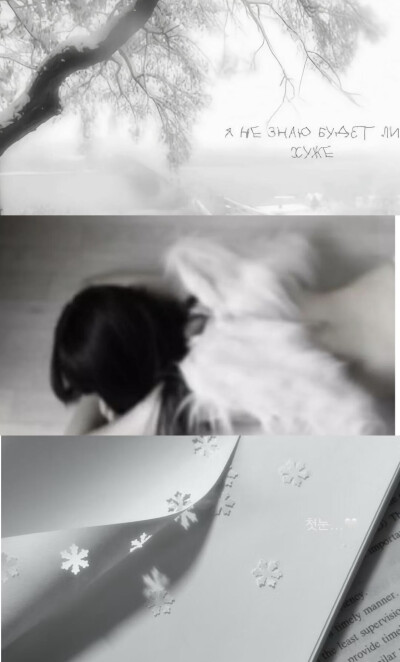 *･゜ﾟ･*:.｡..｡.:*･'(*ﾟ▽ﾟ*)'･*:.｡. .｡.:*･゜ﾟ･*