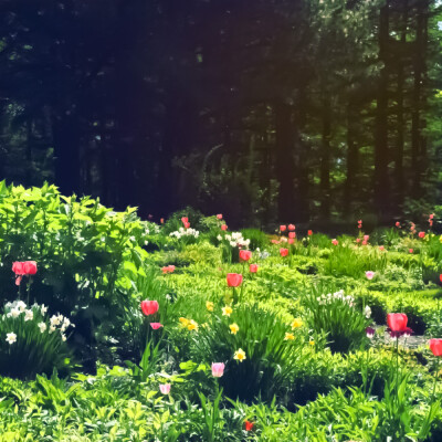 夏天是冗长的蝉歌