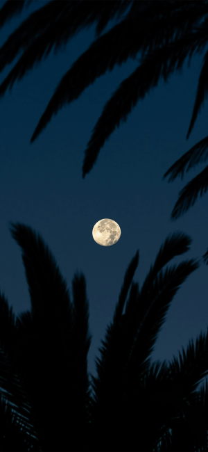 晚安
图片来自网络，侵删