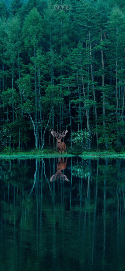 可爱的
图片来自网络，侵删