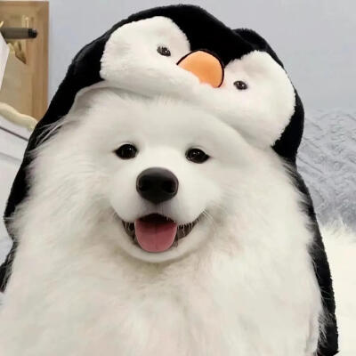 可爱头像·图源微博