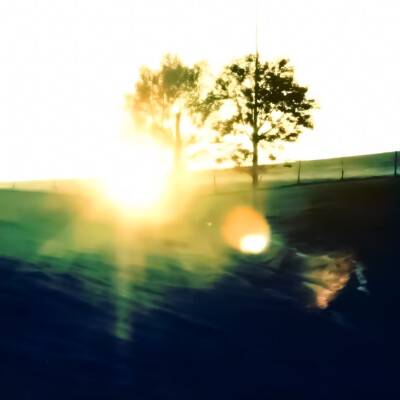 夏天是冗长的蝉歌