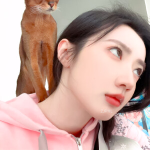 黄羿