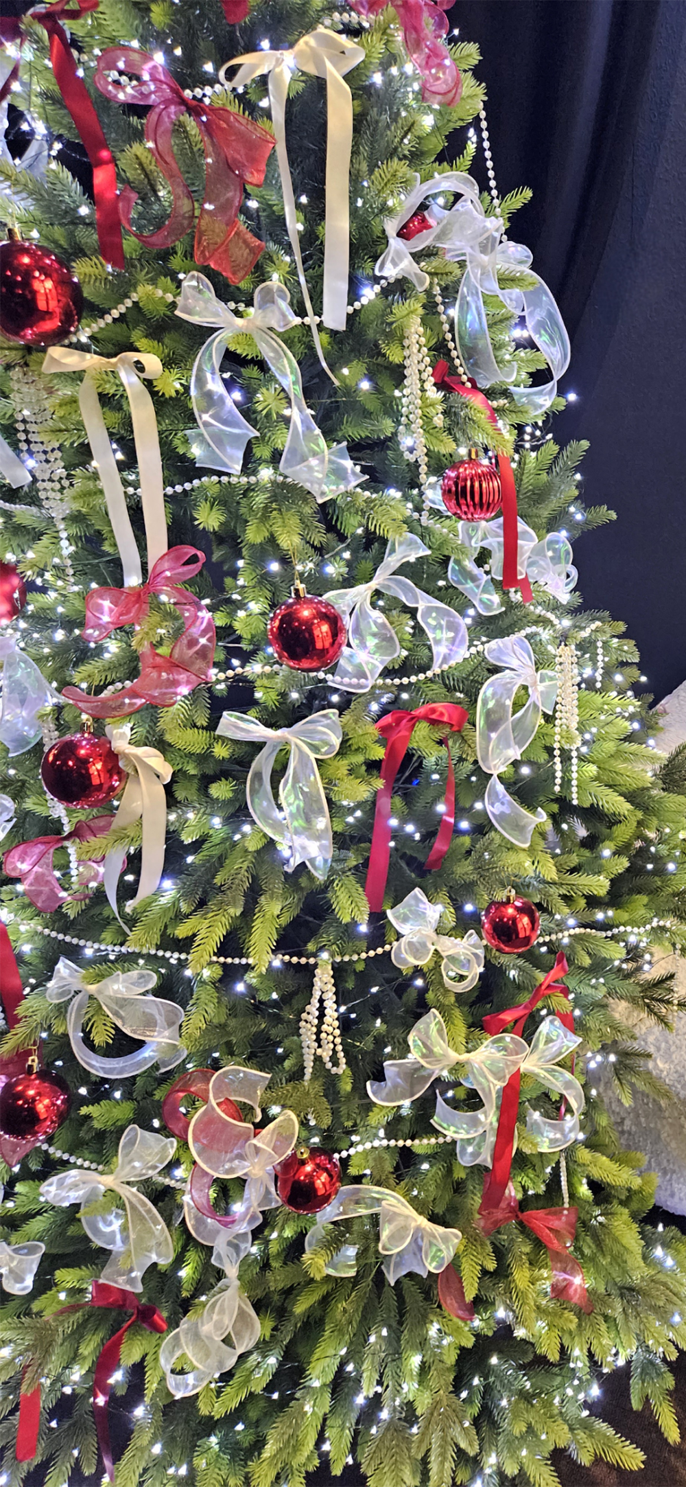 圣诞快乐
图片来自网络，侵删