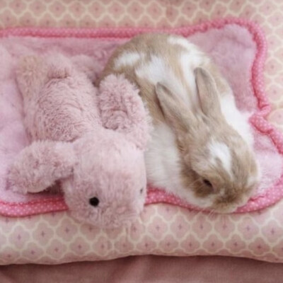 我什么都不图就图你一颗真心行吗？