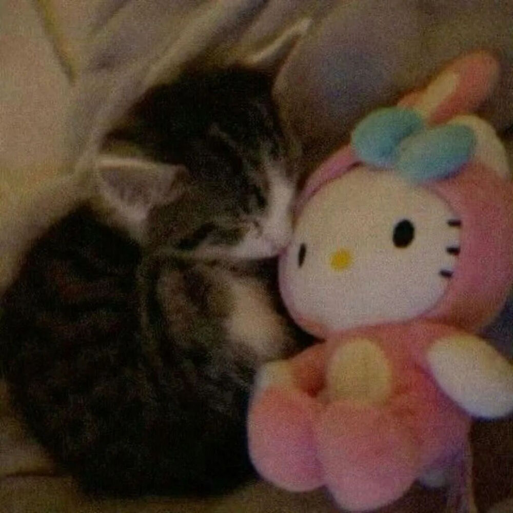 我是不会放弃收集这种图片的