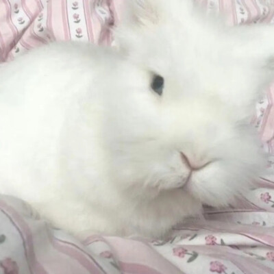 古早头像背景套图