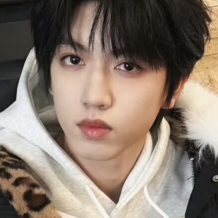小狗哦