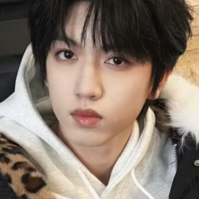 小狗哦