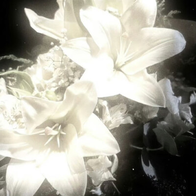 女生头像背景图搭配