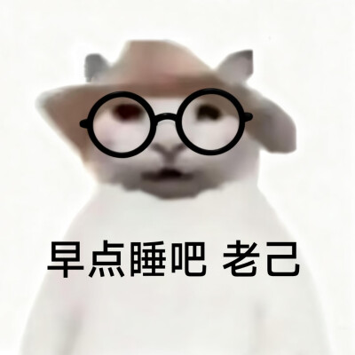 #爱你老己表情包#没建模没经济小猫#