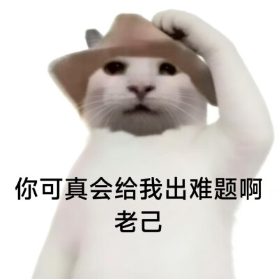 #爱你老己表情包#没建模没经济小猫#
